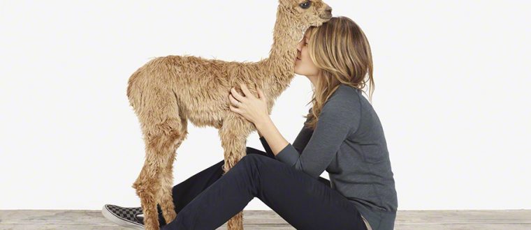 הום סטיילינג וגן חיות שאסור לפספס